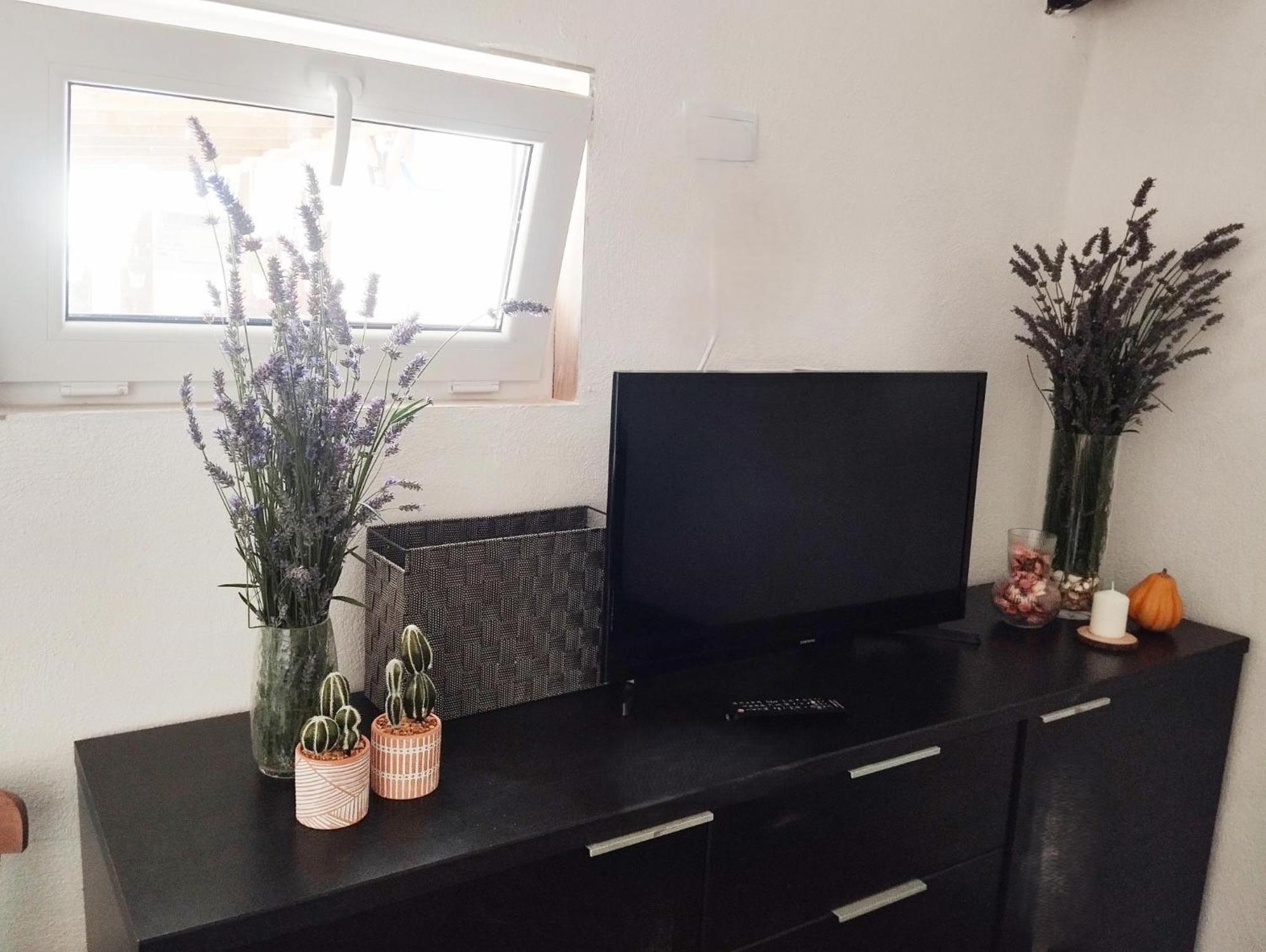 Kataenea. Apartamento En El Prepirineo Navarro. Naturaleza Aoiz Zewnętrze zdjęcie